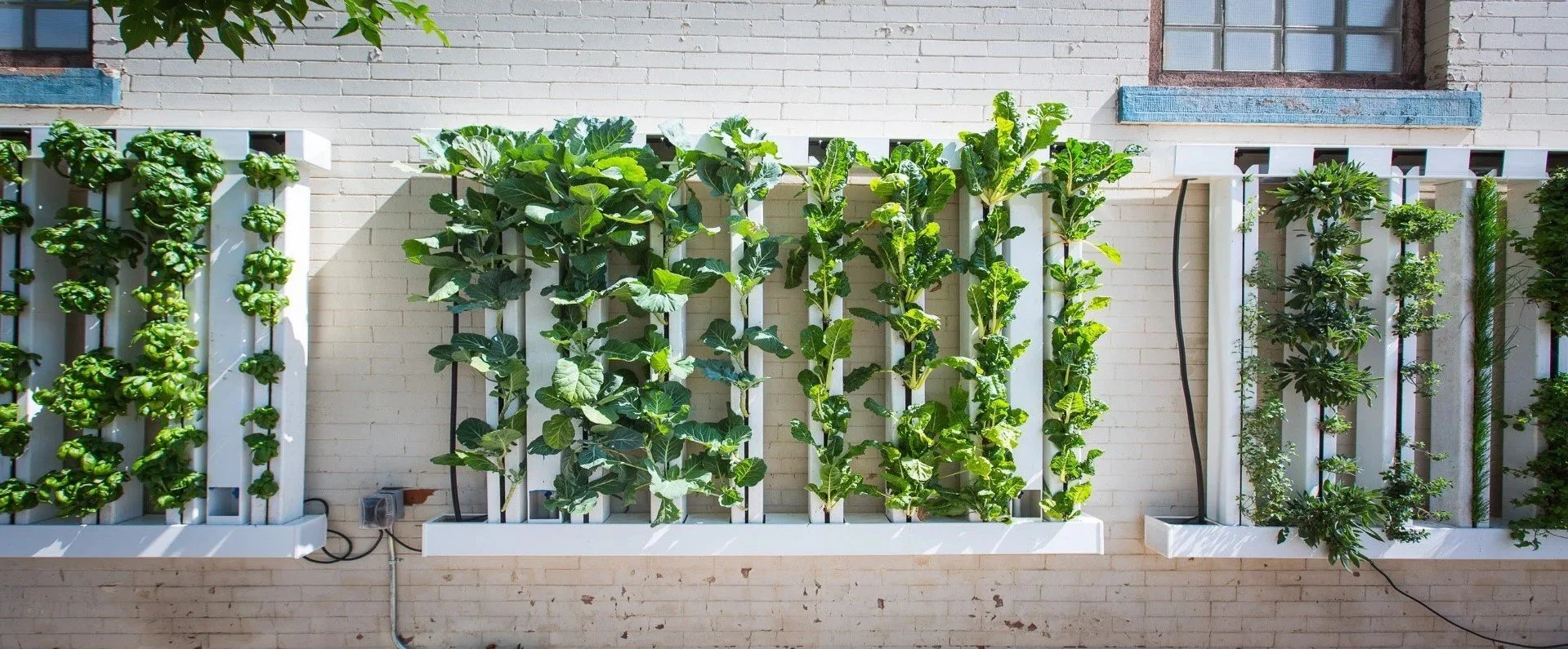 ZipGrow™ Farm Wall™ — FullCircle26Inc.